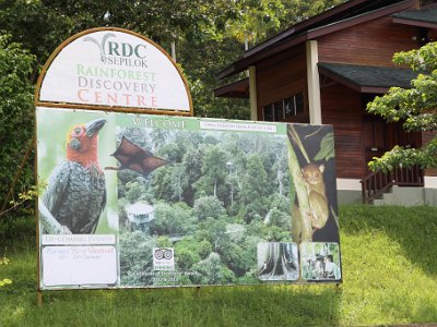 Rainforest Discovery Center And War Memorial - Nov 17, 2015